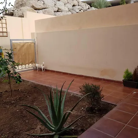 Lägenhet Open Plan Cozy Big Studio Costa Adeje Wi-fi Pool *